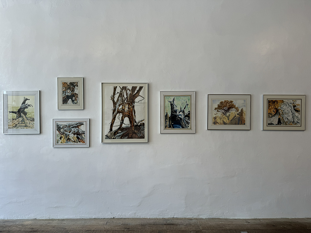 Yvonne Halburian, My Swan Song